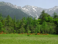 田代池