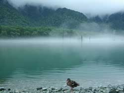 秋の焼岳