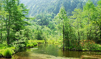 Tashiro Pond