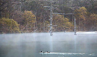 Taisho Pond Eco tour organized by Yamatami